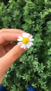 İİBF Fotoğraf Yarışmasının Kazananları Belli Oldu 