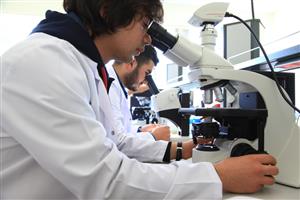 Sağlık Hizmetleri MYO’na 5 Yeni Program