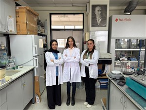 Kanser tedavisine yönelik doğal kaynaklı nanomalzeme projesine TÜBİTAK desteği