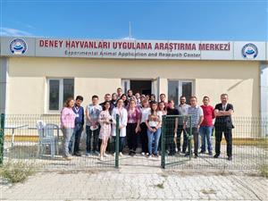 Deney Hayvanları Kullanım Sertifikası Programı Tamamlandı