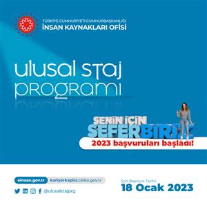 Ulusal Staj Programı