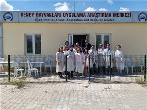 Deney Hayvanları Kullanım Sertifikası Programı Tamamlandı