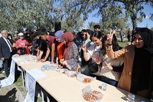 Üç Gün Sürecek ASÜ İğde Hasat Şenliği Başladı