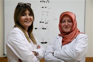 Güvenli Gıda İçin Yeni Bir Ambalaj Geliştiriliyor