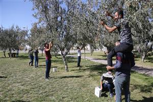 Üç Gün Sürecek ASÜ İğde Hasat Şenliği Başladı