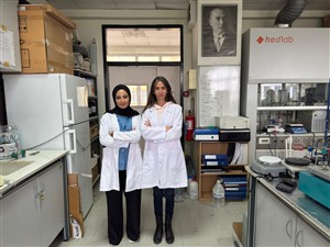 Kanser tedavisine yönelik doğal kaynaklı nanomalzeme projesine TÜBİTAK desteği