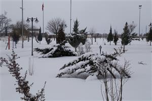 Kar Yağışı Şehirde Bereket Manasıyla Karşılık Buldu 