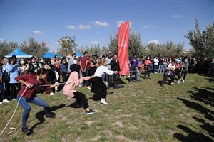 Üç Gün Sürecek ASÜ İğde Hasat Şenliği Başladı