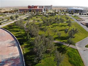 Çevreci Üniversite ASÜ’de Yeşil Alan Varlığı Artıyor 