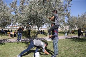 Üç Gün Sürecek ASÜ İğde Hasat Şenliği Başladı