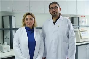 Kırsaldan laboratuvara, cüce yarasalarda genetik keşif
